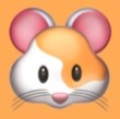 草莓视频www.5.APP