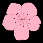 WWW,ady69·COM网站APP